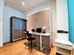 Raeburn Park (D2), Apartment #488406851